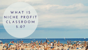 What is Niche Profit Classroom 5.0?