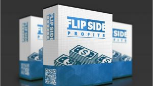 What is Flipside Profits- Great Flipping Domains for Profit Method